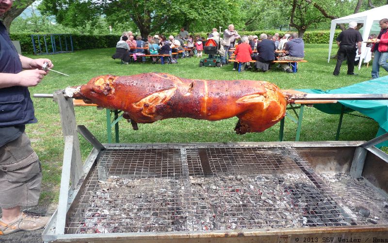 Fehler beim Laden des Bilds